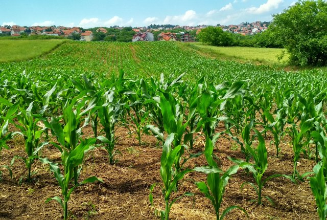 Јавни позив за додјелу подстицајних средстава за развој пољопривредене производње на територији града Бањалука за 2023. годину