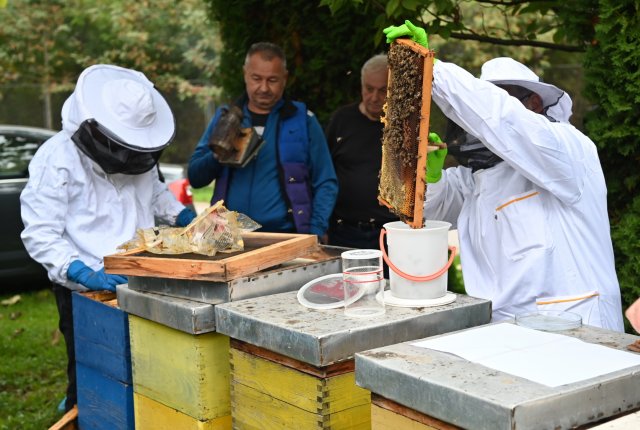 Успјешно реализован тренинг за жртве мина у пчеларству