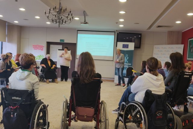 Стратегија развоја Мреже жена са инвалидитетом